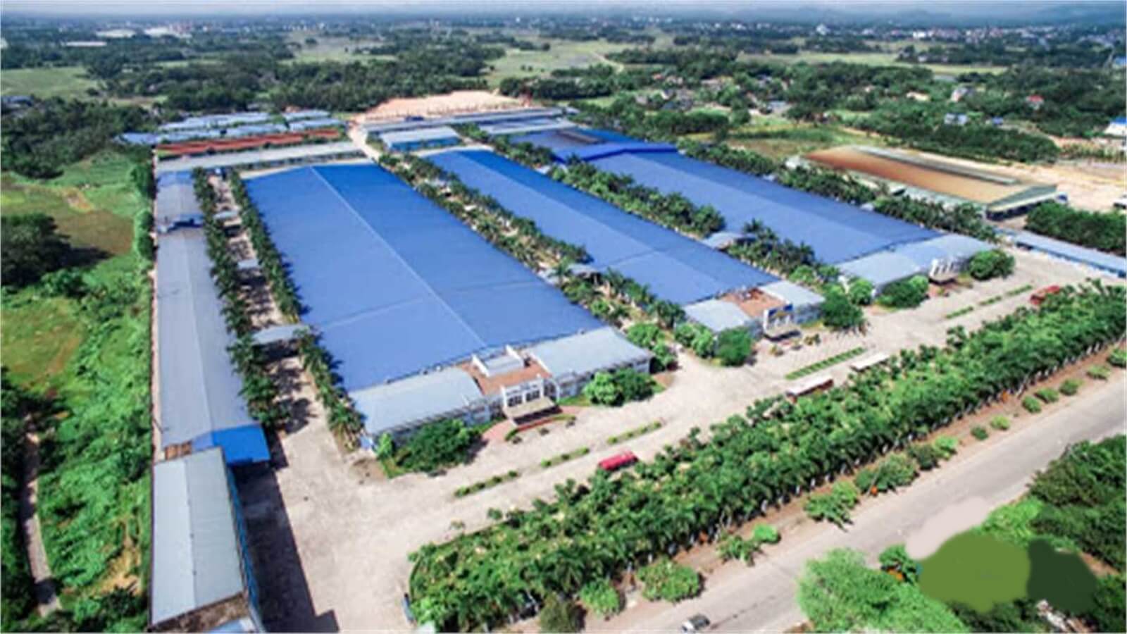 Cổ Chiên – IP